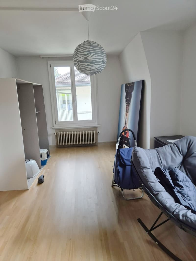 A furnished room with wooden flooring, a grey sofa, a large picture frame, a cat litter, a radiator, and a decorative ball lamp hanging from the ceiling.