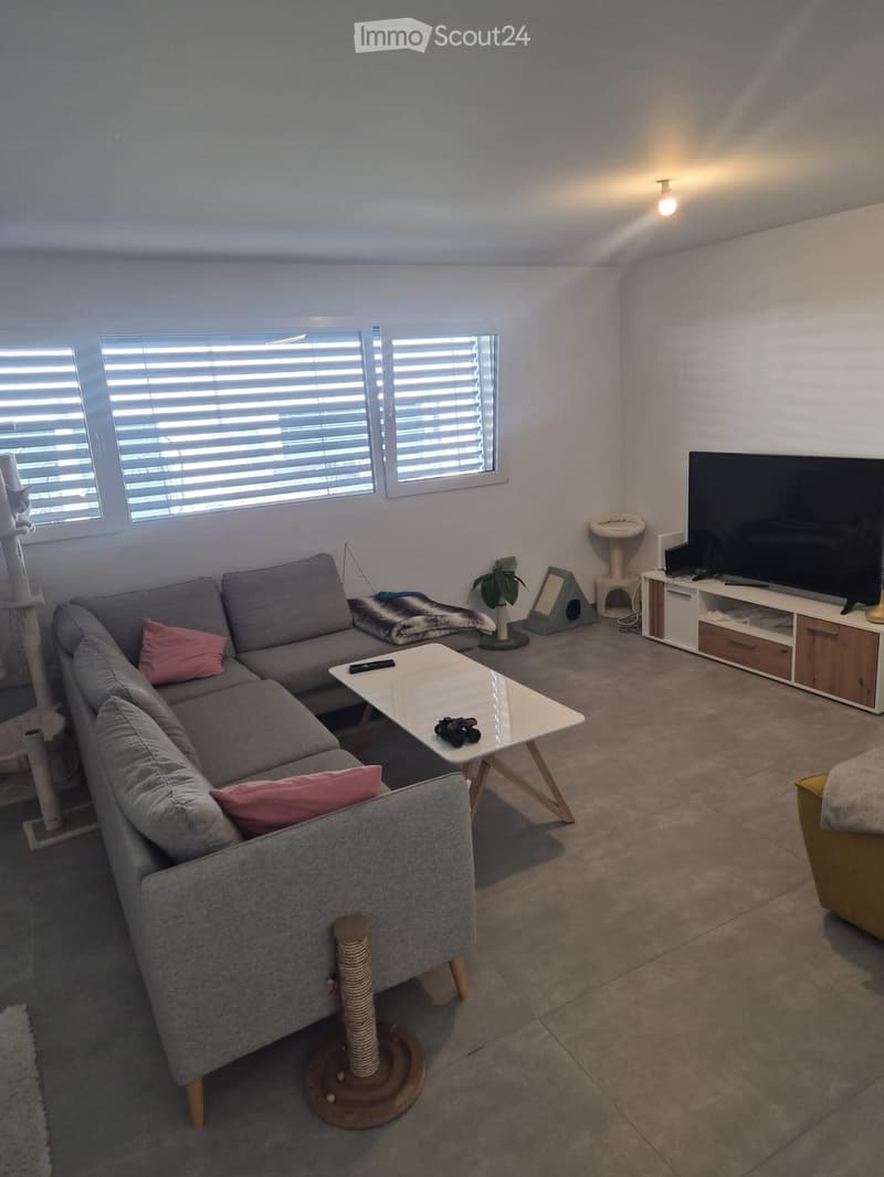 Living room with grey sectional sofa, white coffee table, cat tree, cat scratching post, cat bed, cat litter box, plant, television, laptop, remote control, and cat toy.