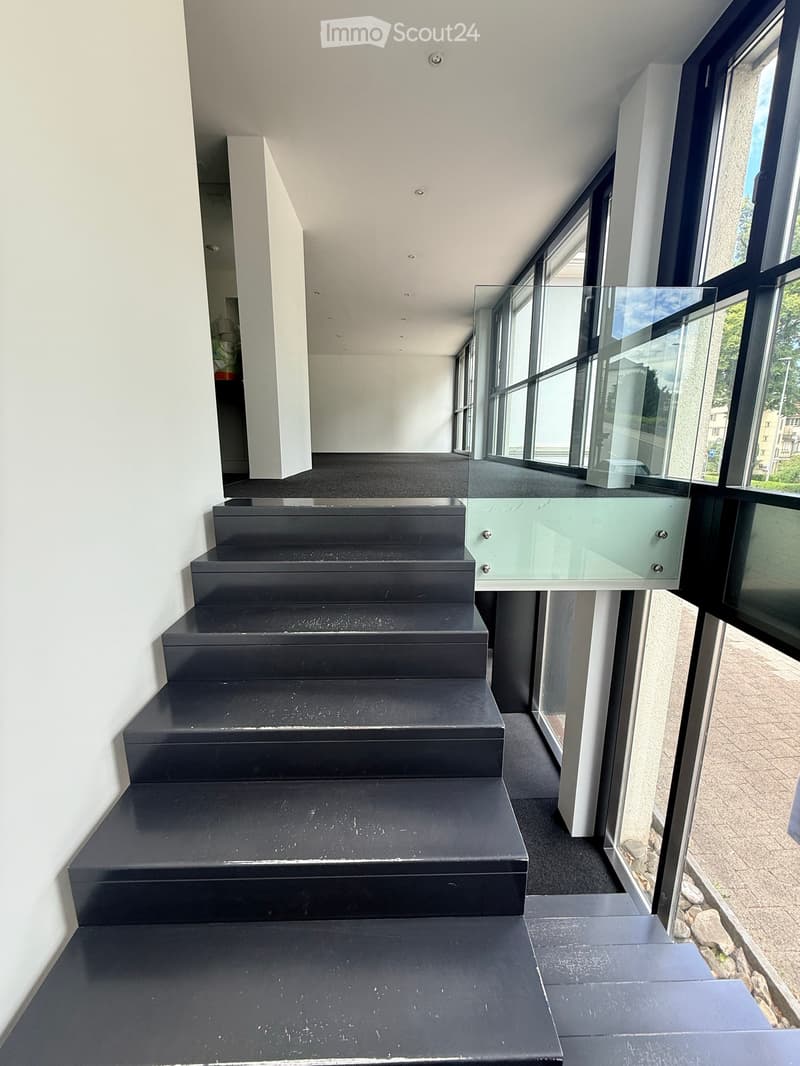 Modern hallway with dark grey carpeted stairs, white walls, and large glass windows offering a view of the outside area.