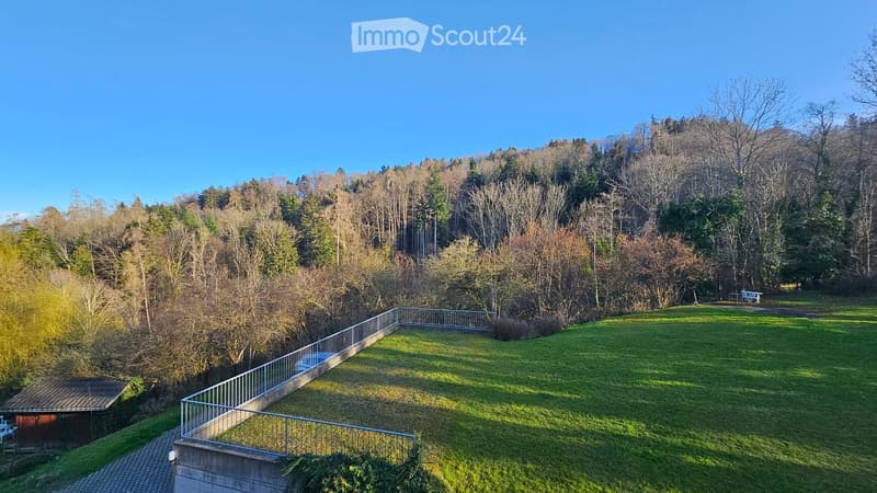 A spacious, well-maintained lawn area bordered by a metal railing, with a small shed and a bench visible in the background, surrounded by trees and a clear blue sky.