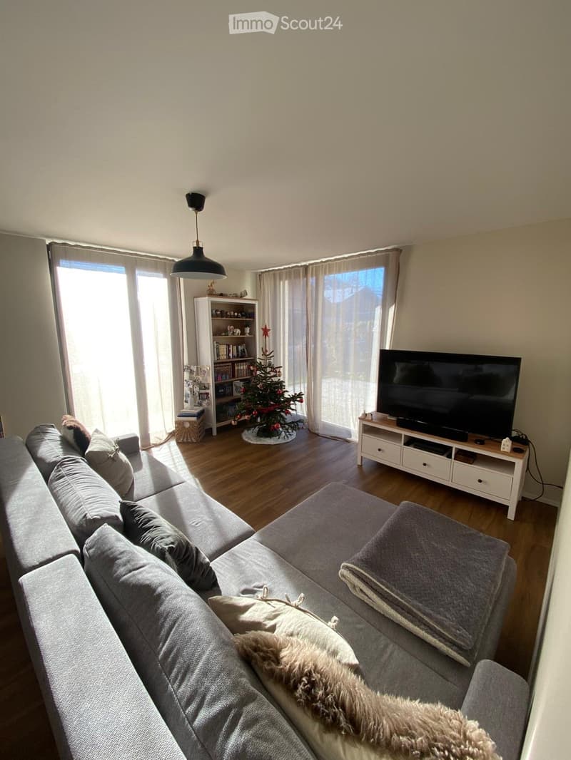 A modern living room with a grey sectional sofa, pillows, a blanket, a bookshelf, a television, and a small Christmas tree. The room features large windows with curtains and a pendant light hanging from the ceiling.