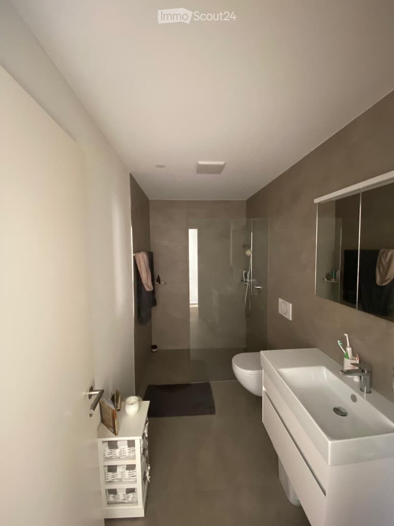 Modern bathroom with a large sink, toilet, glass-enclosed shower, and a mirror above the sink. A small storage unit with baskets and a towel is visible on the left side.
