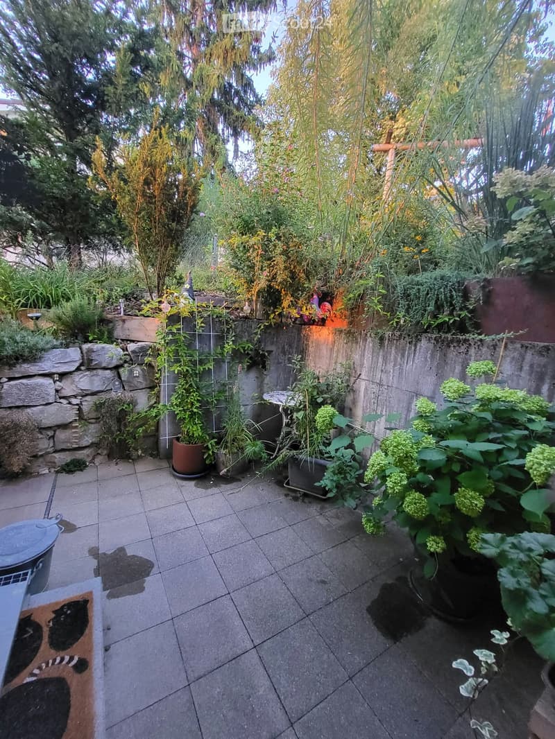 A small, enclosed garden area with a tiled floor, surrounded by various potted plants and shrubs, with a stone wall and wooden trellis in the background.