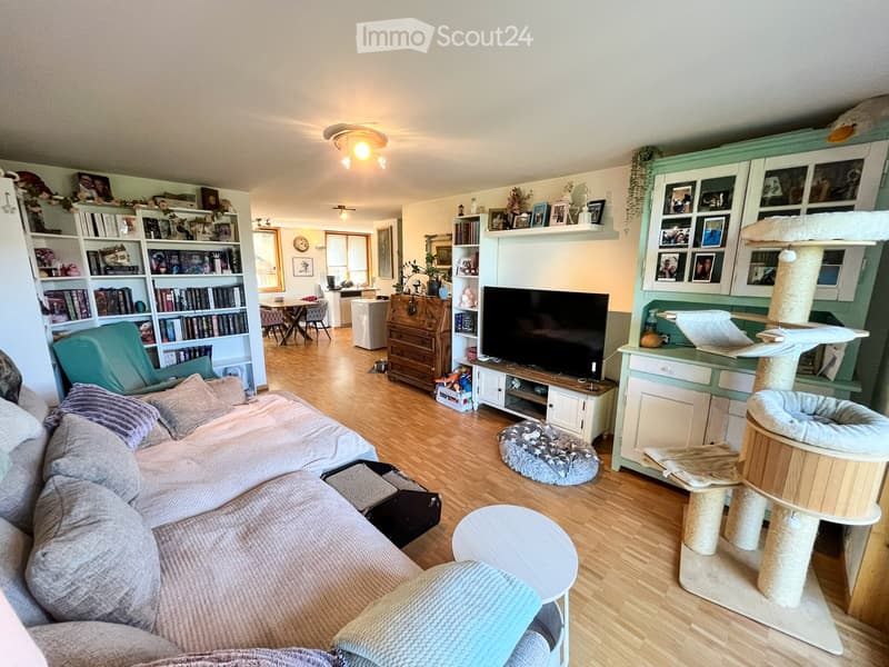 A cozy living room with a large sectional sofa, a cat tree, a cat bed, a small round table, a bookshelf, a television, and various cat accessories.