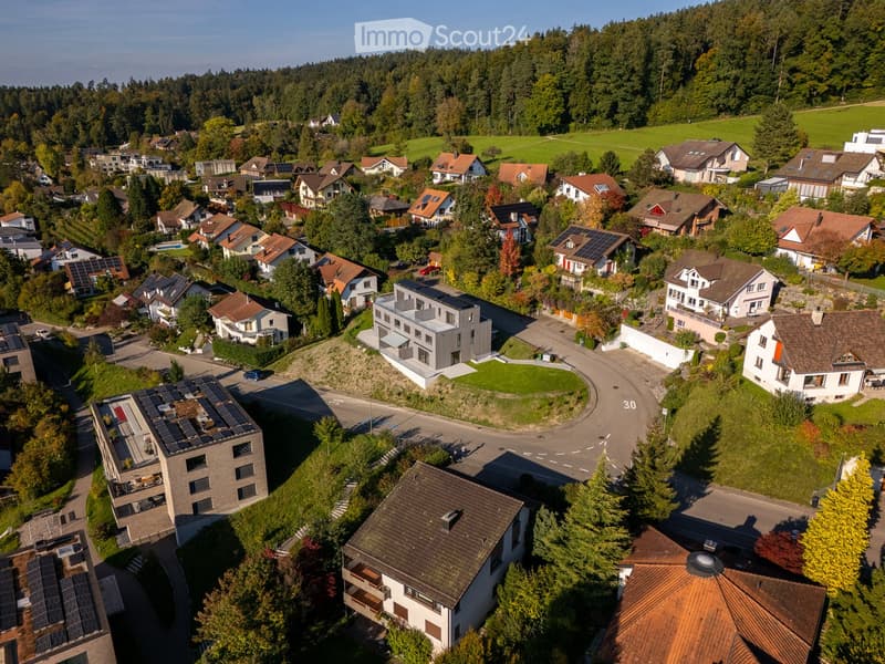 Aerial view of a residential neighborhood with multiple houses, surrounded by greenery and trees. Some houses have solar panels on their roofs.