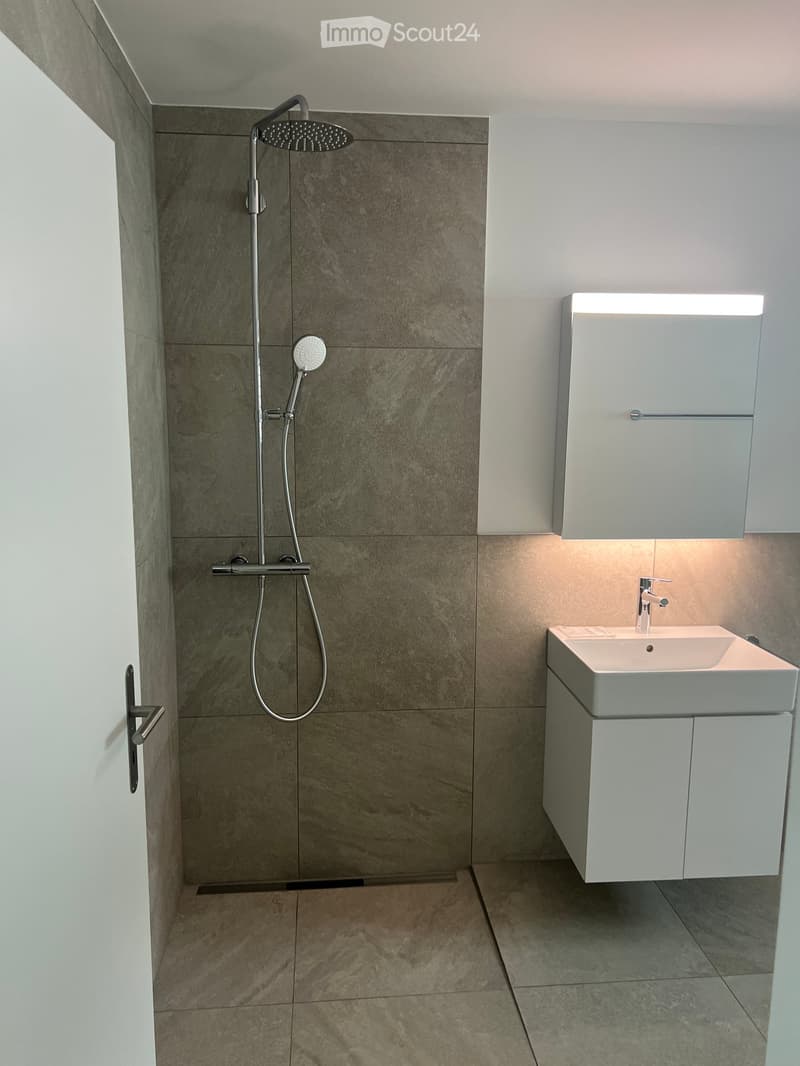Modern bathroom with a shower area featuring a handheld showerhead and a built-in sink with a sleek faucet. The walls are tiled in a neutral tone, and the floor is covered with matching tiles.