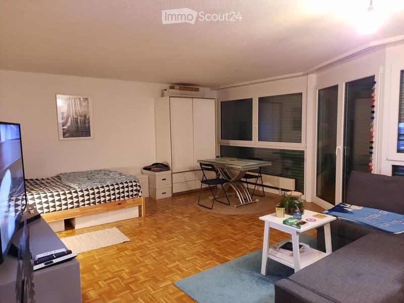 A modern, multi-functional room with a bed, sofa, coffee table, dining table, chairs, TV, and cabinet. The room features wooden flooring, large windows, and a cozy layout.