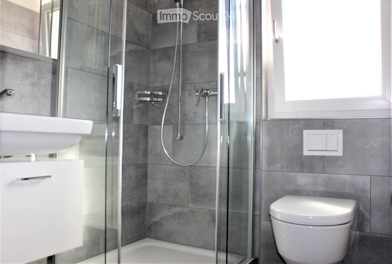 Modern bathroom with grey tiled walls, a glass-enclosed shower, a white sink with a mirror, and a toilet.