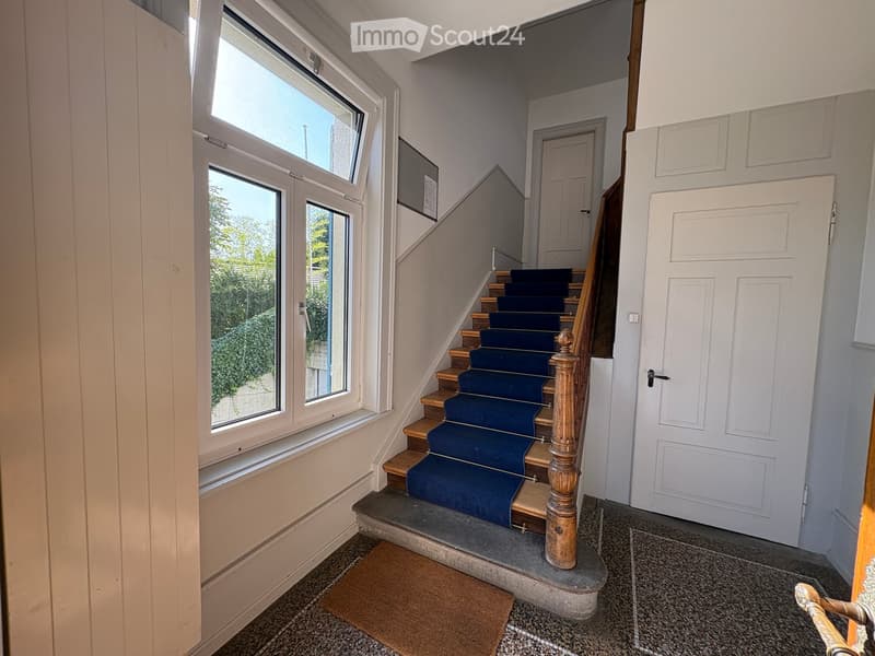 Hallway with a staircase leading upwards, blue carpeted stairs, wooden handrail, white walls, and a large window on the left side.