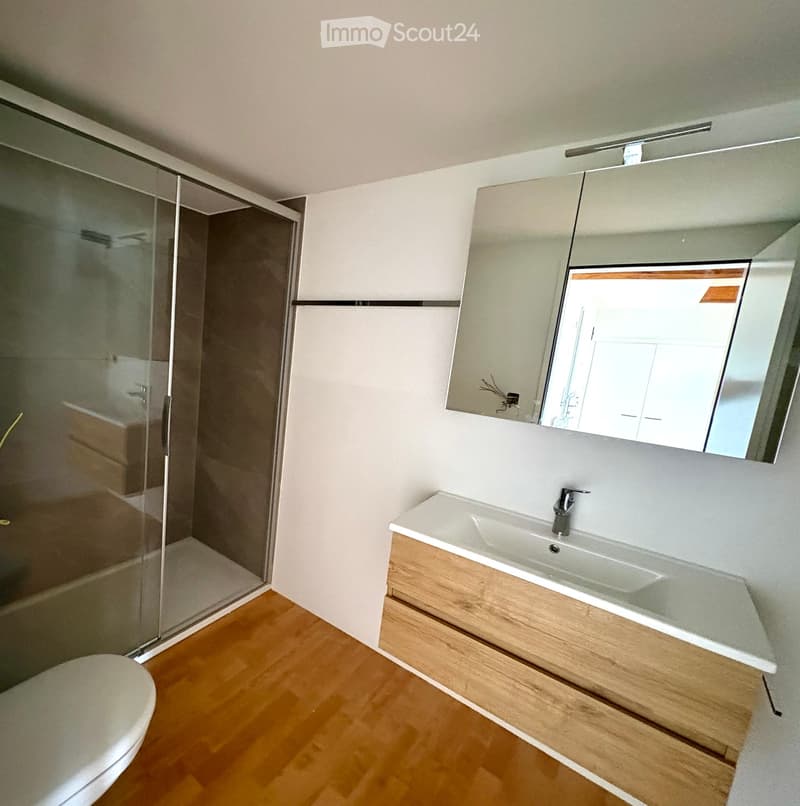 Modern bathroom with a wooden floor, white sink with wooden cabinet, large mirror, and a glass-enclosed shower area.