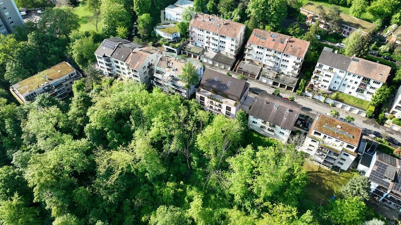 Multiple houses, multistory, surrounded by greenery