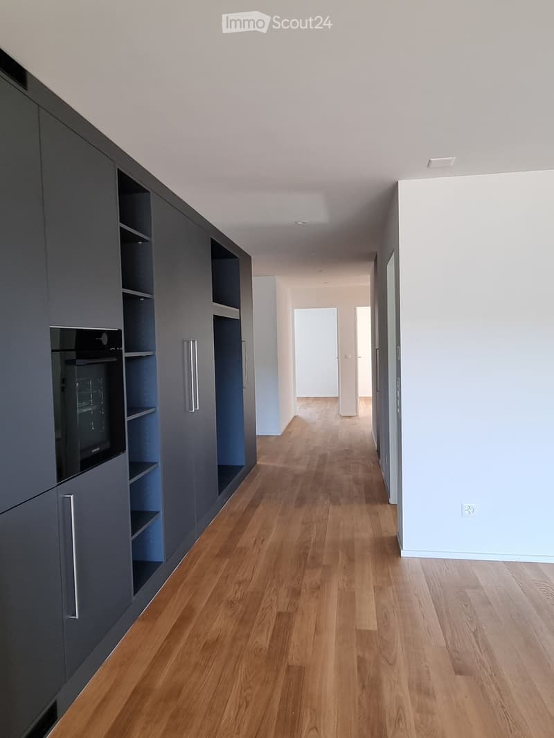 Modern hallway with light wooden flooring, white walls, and built-in dark grey shelving unit with multiple compartments and shelves.