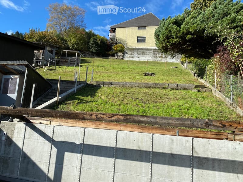 A sloped, grassy backyard with a wooden fence, concrete retaining wall, and a small shed. A house with a balcony is visible in the background.