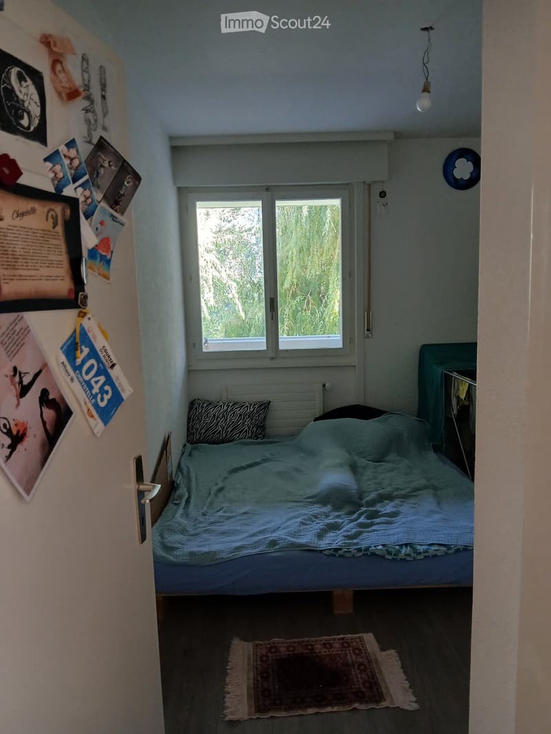 Cozy bedroom with a single bed, zebra-patterned pillow, light blue blanket, small rug, and posters on the wall. Natural light from a window overlooking greenery.