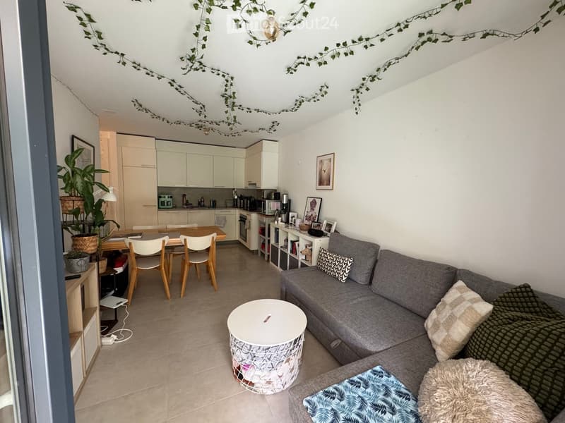 A modern, open-plan living and dining area with a grey sectional sofa, coffee table, dining table with chairs, and a small kitchen area with white cabinets and appliances.