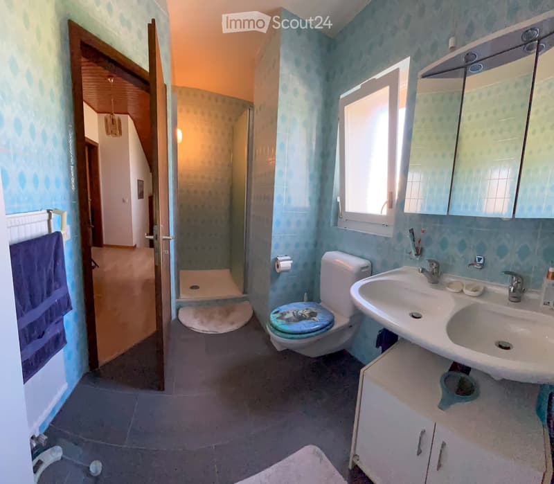 Bathroom with blue patterned walls, a toilet with a decorative seat cover, a double sink with a mirror above, a towel on a rack, and a shower area visible through an open doorway.