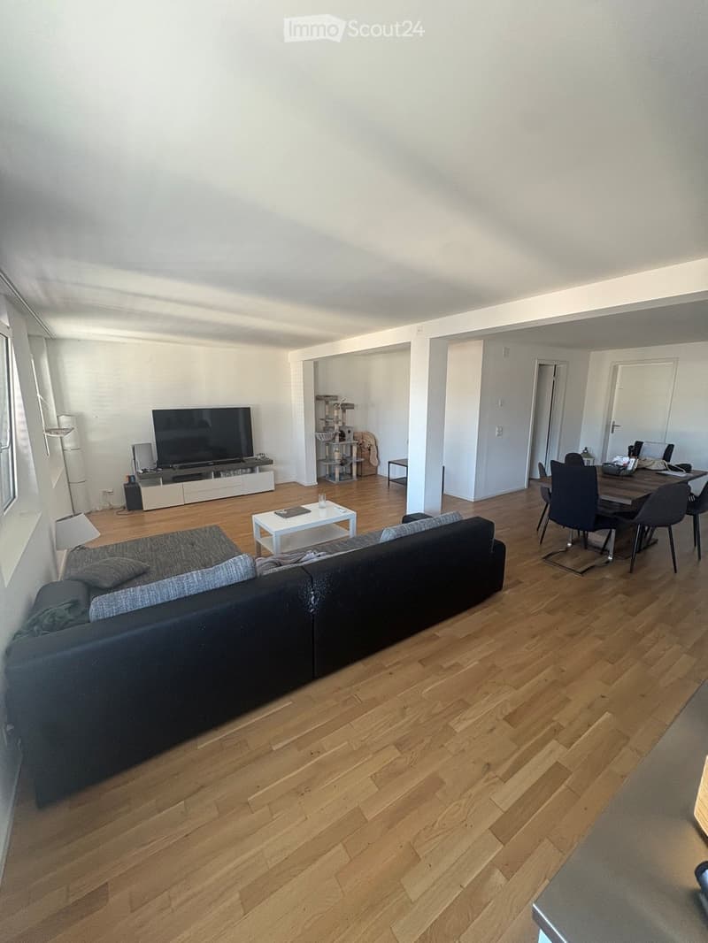 Open-plan living and dining area with wooden flooring, a grey sofa, coffee table, TV, dining table with chairs, and a cat tree in the corner.
