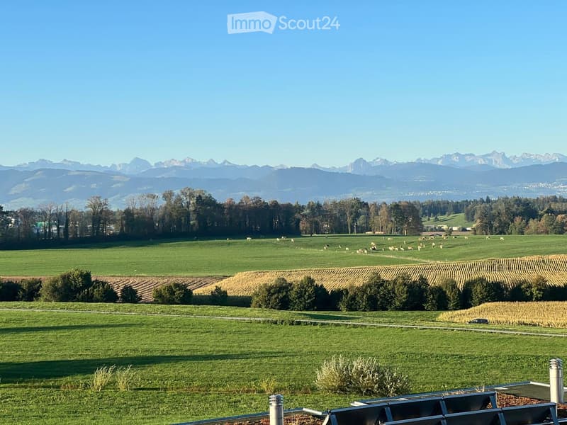 A wide, green meadow with grazing animals, surrounded by trees and distant mountains under a clear blue sky.