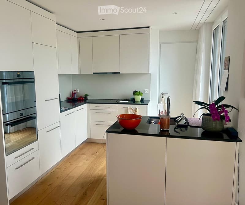 Modern kitchen with white cabinets, black countertops, and wooden flooring. Features an oven, sink, and various decorative items including a plant and a bowl.