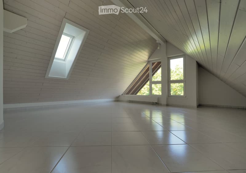 Empty room with wooden slat ceiling, large skylight, and multiple windows, featuring a polished concrete floor.