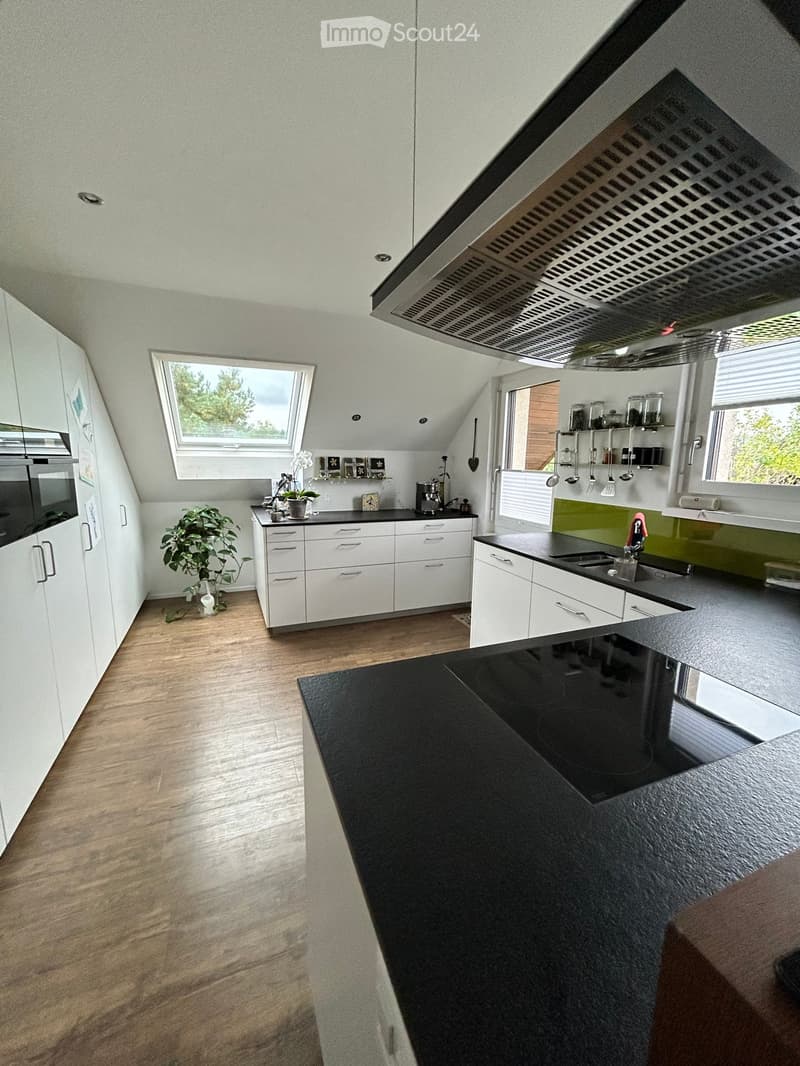 Modern kitchen with white cabinets, black countertops, and an induction cooktop. Features include a sink with a modern faucet, a coffee maker, and a potted plant on the counter.
