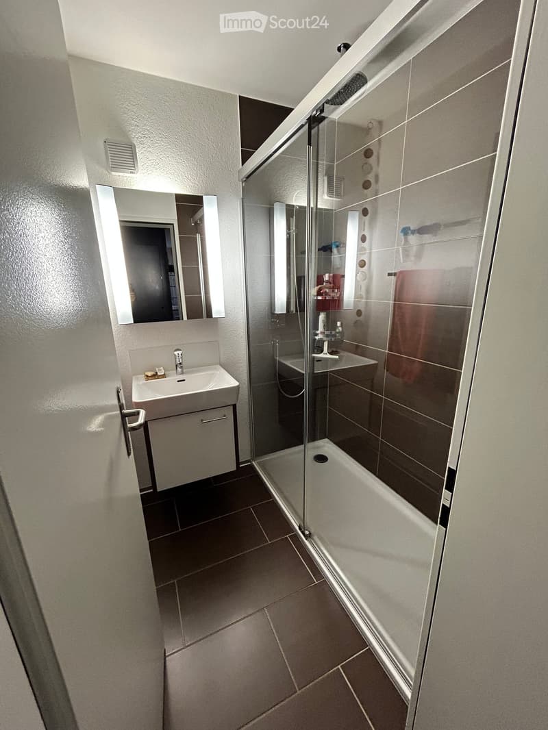 Modern bathroom with a glass-enclosed shower, a sink with a mirror, and a small cabinet under the sink.