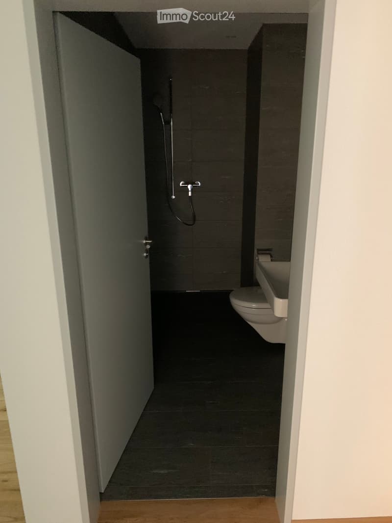 Modern bathroom with dark tiled walls and floor, featuring a toilet and a shower area with a handheld showerhead.