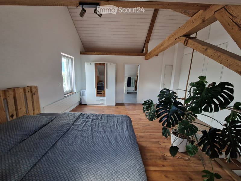 Bright bedroom with wooden floors, exposed wooden beams, large window, bed with grey duvet, wardrobe with mirror, and a large leafy potted plant.