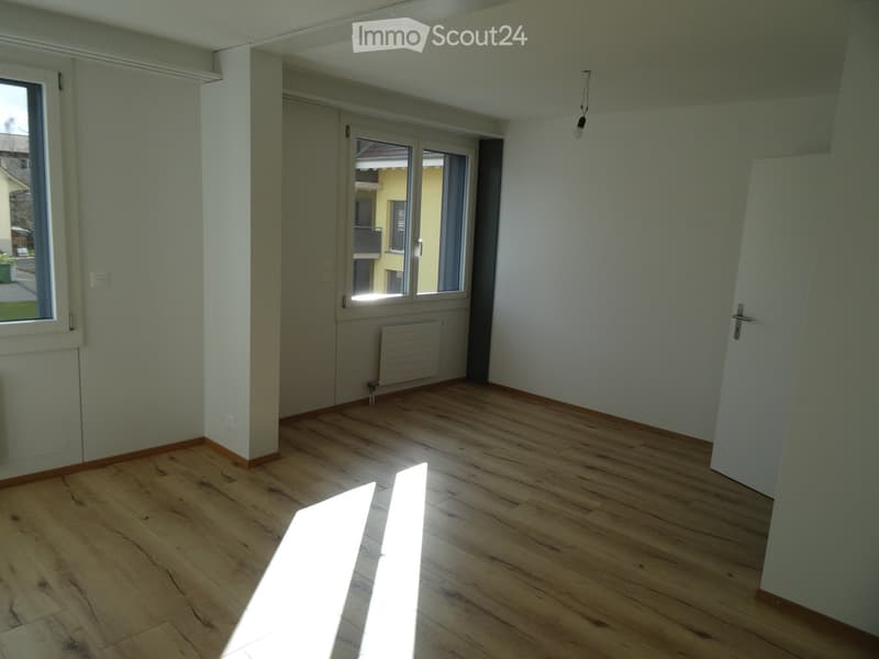 Renovierte grosse 3,5-Zimmerwohnung (10)