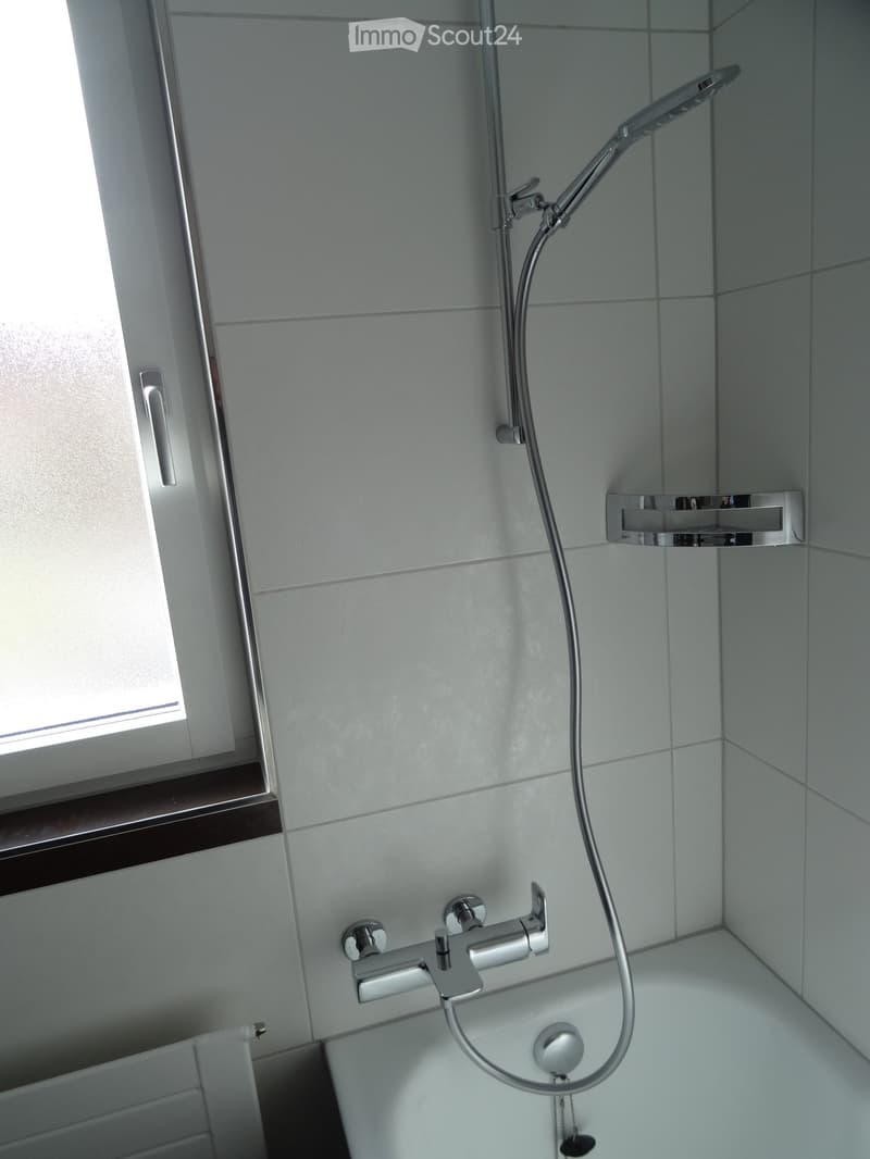 Renovierte grosse 3,5-Zimmerwohnung (7)