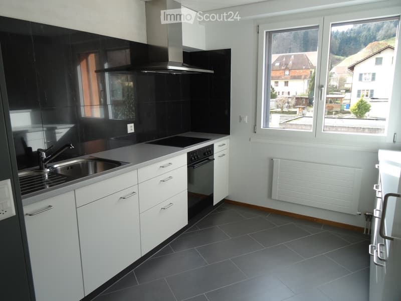 Renovierte grosse 3,5-Zimmerwohnung (5)