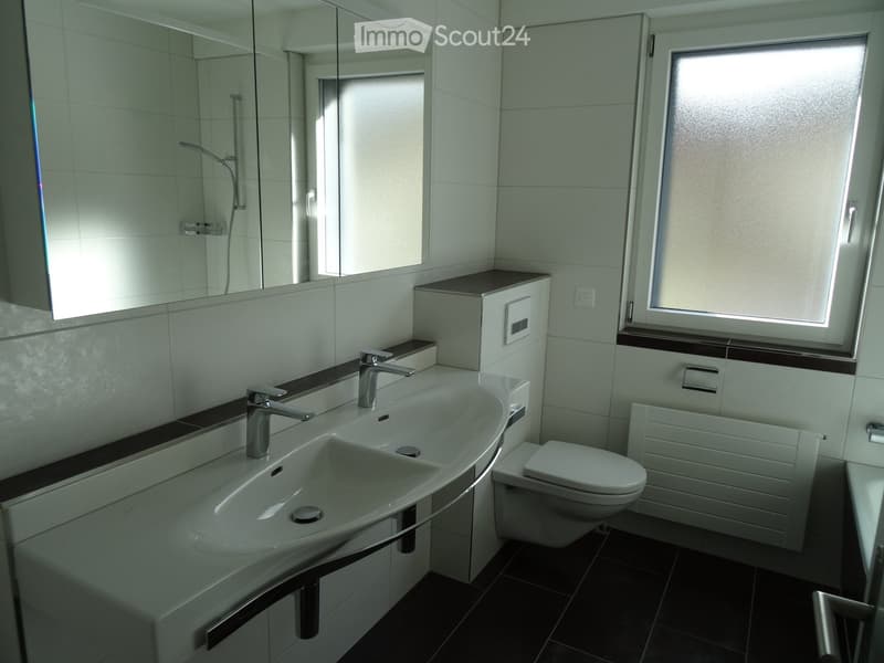 Renovierte grosse 3,5-Zimmerwohnung (6)