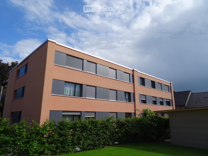 Renovierte grosse 3,5-Zimmerwohnung (1)