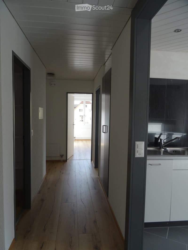 Renovierte grosse 3,5-Zimmerwohnung (12)