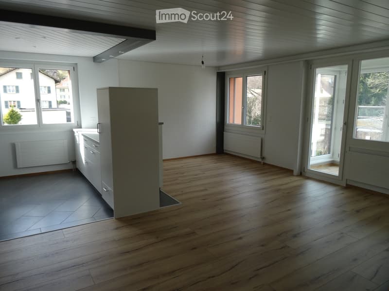Renovierte grosse 3,5-Zimmerwohnung (4)