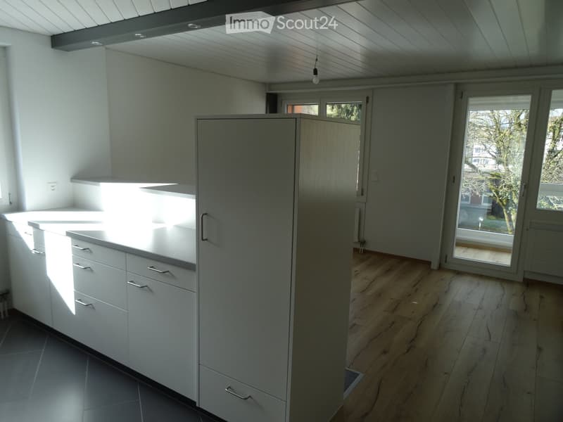 Renovierte grosse 3,5-Zimmerwohnung (13)
