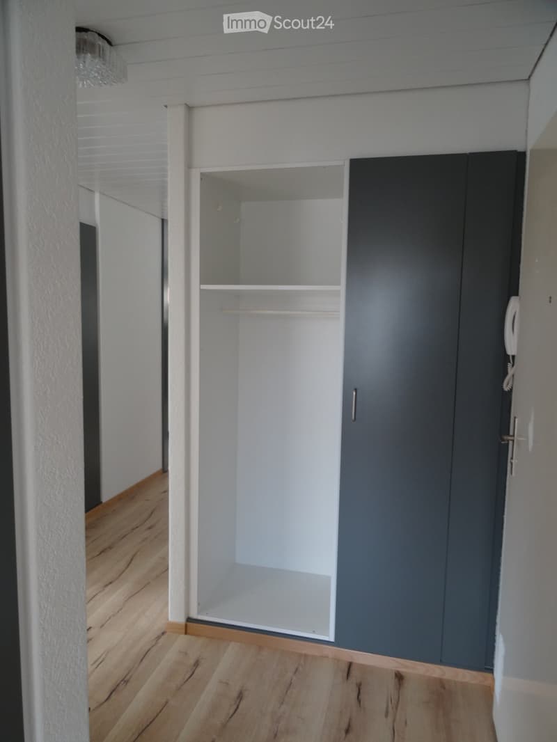 Renovierte grosse 3,5-Zimmerwohnung (11)