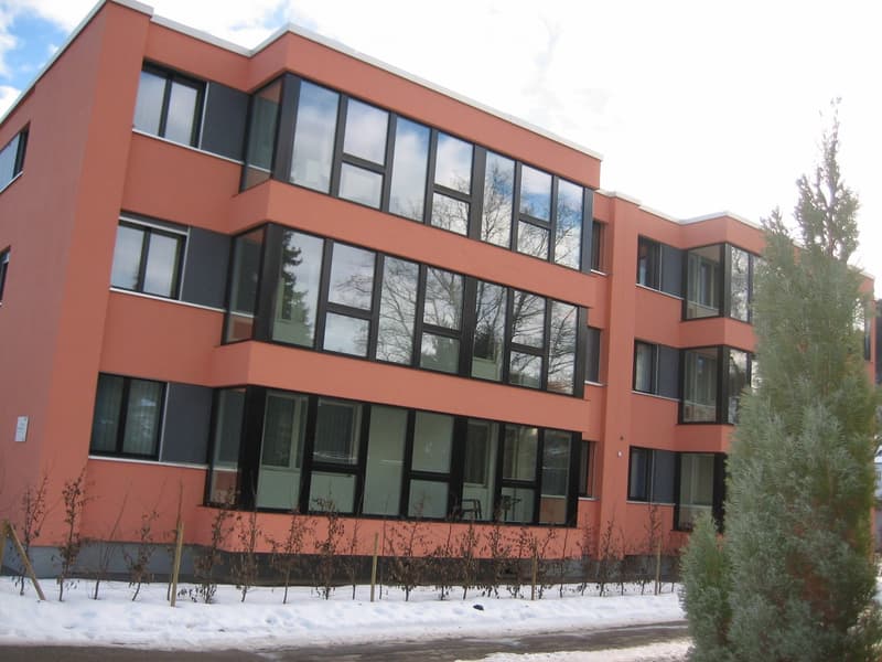 Renovierte grosse 3,5-Zimmerwohnung (15)