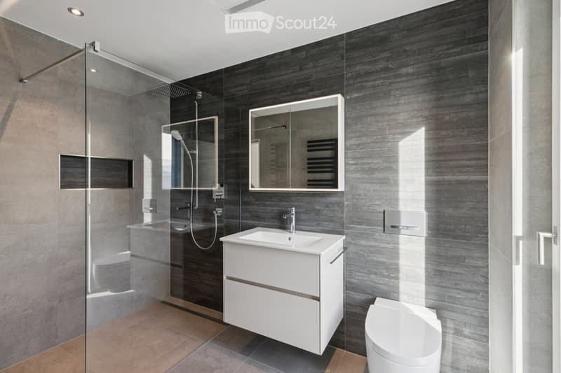 modern bathroom, gray walls, glass shower enclosure, white vanity, shower head, white toilet