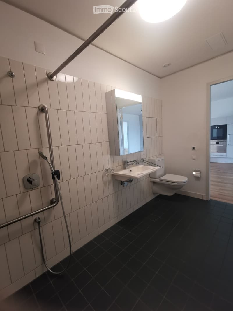 Modern bathroom with black tiled floor, white tiled walls, a sink, toilet, mirror, and a shower handle.