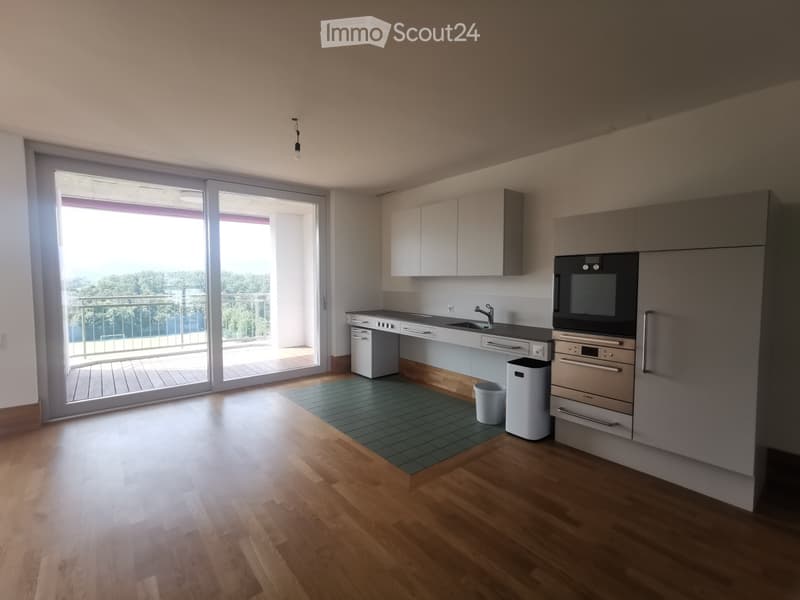 Modern kitchen with wooden flooring, white cabinets, stainless steel appliances, and a large sliding glass door leading to a balcony.