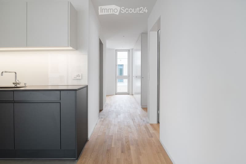 Modern, minimalist hallway with light wooden flooring, white walls, and recessed ceiling lighting. Features a small kitchen area with a sink, faucet, and dark grey cabinetry on the left side.