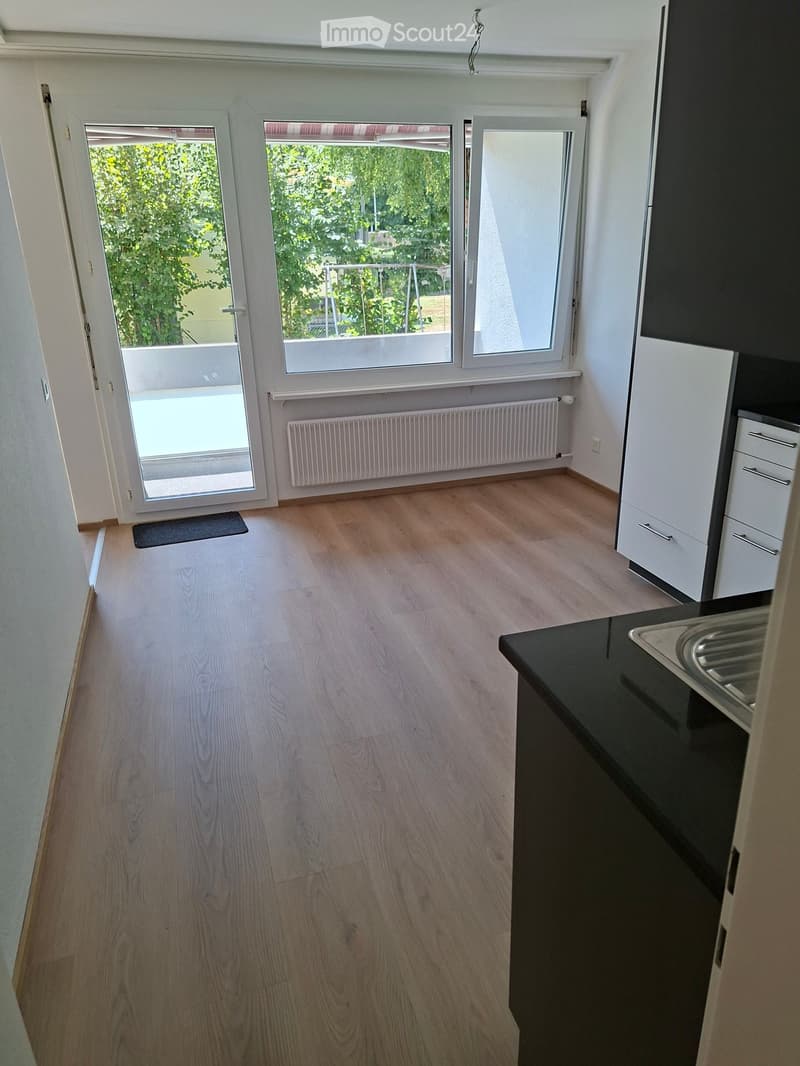 Empty room with wooden flooring, white walls, and a black countertop with a sink. A door leads to a balcony with a view of greenery.