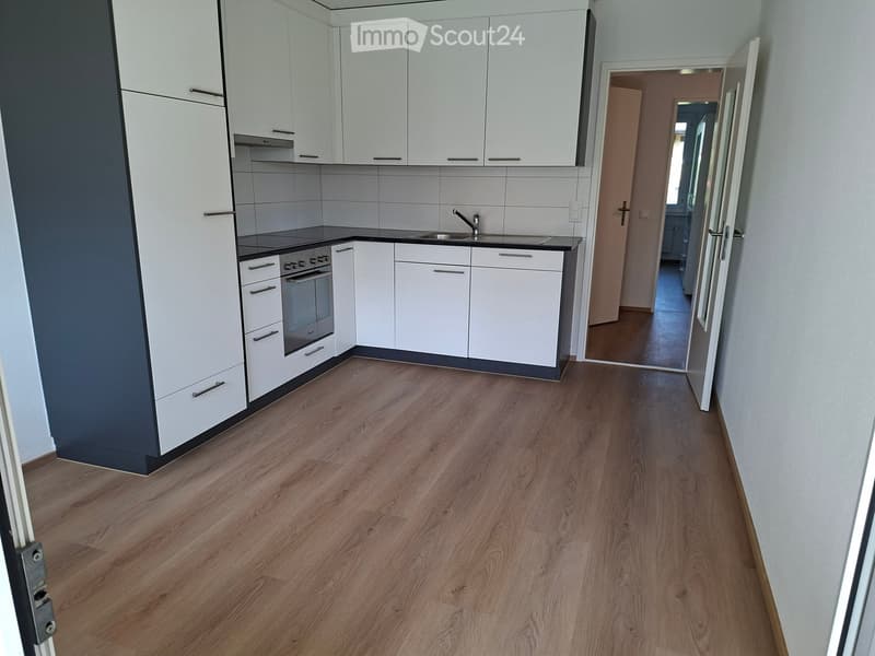 Modern kitchen with white cabinets, stainless steel oven, sink, and wooden flooring.