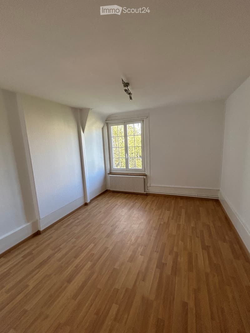 Empty room with wooden flooring, white walls, a window with a radiator below, and a ceiling light fixture.