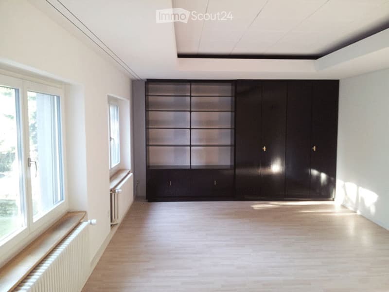 Empty room with light wooden flooring, white walls, large windows, and built-in black cabinetry.