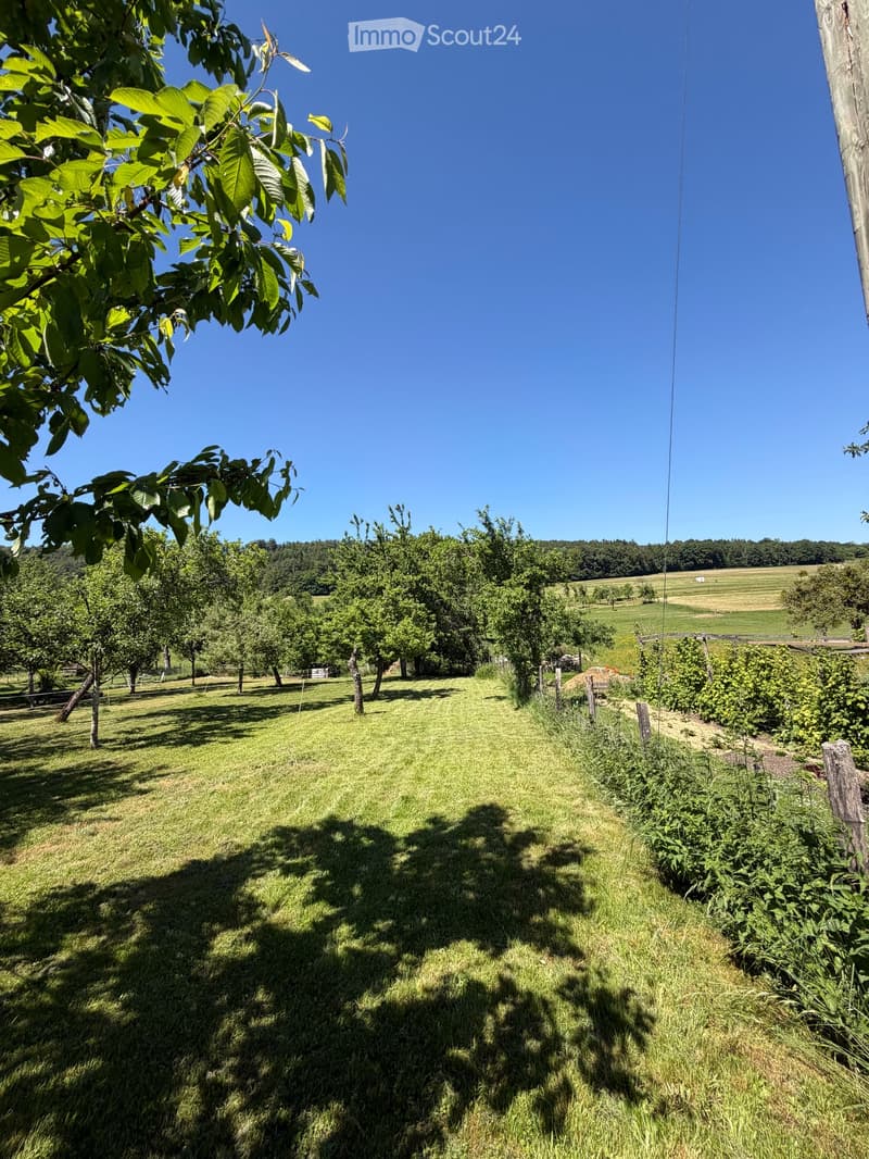 Authentique maison jurassienne de caractère avec grand terrain et verger à Damvant (32)