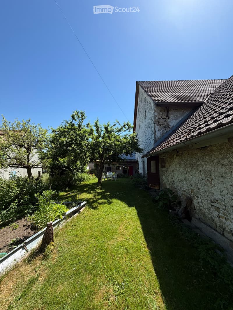 Authentique maison jurassienne de caractère avec grand terrain et verger à Damvant (29)