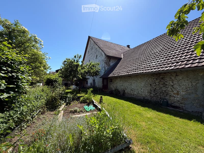 Authentique maison jurassienne de caractère avec grand terrain et verger à Damvant (33)