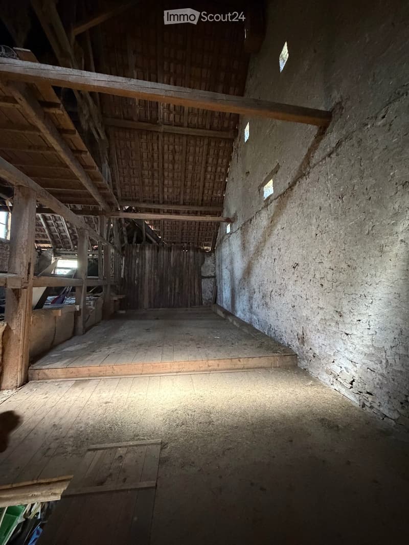 Authentique maison jurassienne de caractère avec grand terrain et verger à Damvant (28)